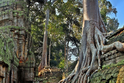 Dawn Tour & The Woman Temple